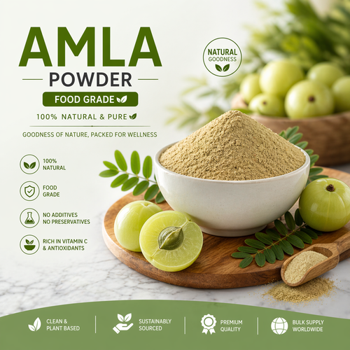 Amla Powder Manufacturer  Image.png