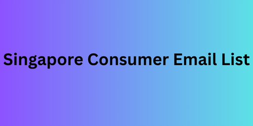 Singapore Consumer Email List.png