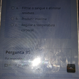 temp.png
