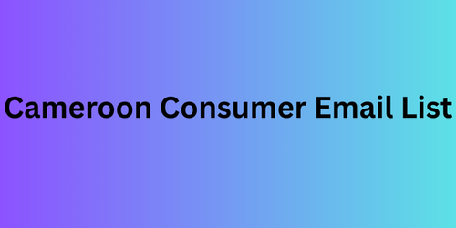 Cameroon Consumer Email List.png
