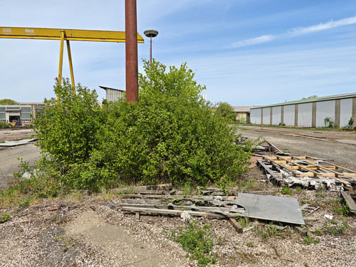 83.jpg