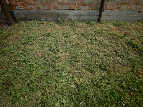 89.jpg