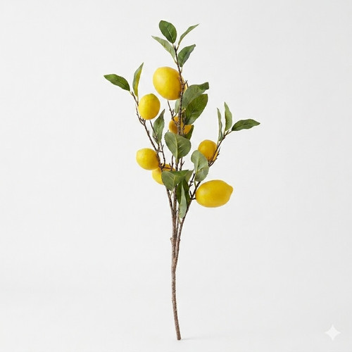 b0db2198 55d5 4d62 8a67 98873d81a923.jpg