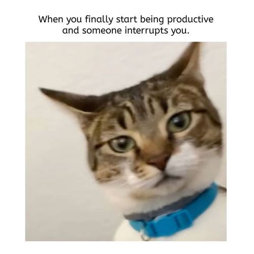 image 2026 04 28T120431.289.png