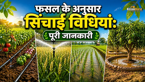 1777291078 fasal ke anusar copy.png