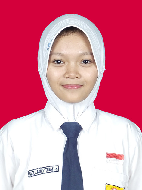 325539.jpg