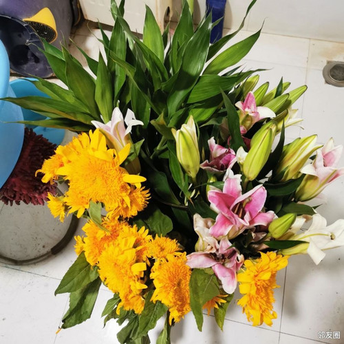 618 01 辣手摧花.jpg