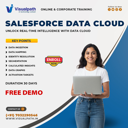 Salesforce Data Cloud Course | Salesforce Data Cloud Classes.jpg