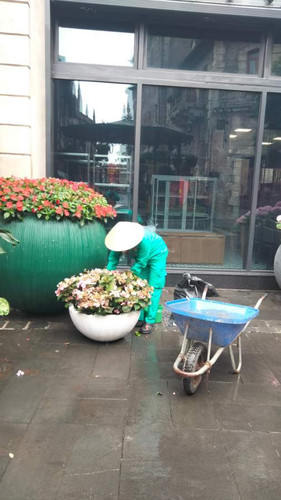 81dc7f183099.jpg