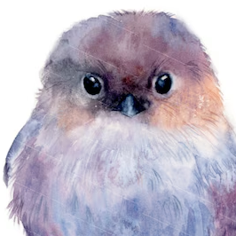 egel the psychic visionary bird avatar 01.png