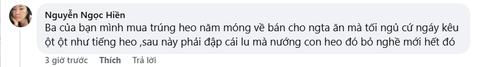9b38cd074815.png