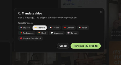 04 video translate.jpg