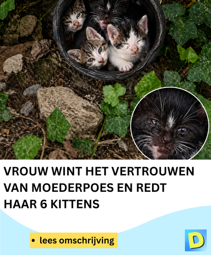  Doldwaas Dagblad 142 (27).png