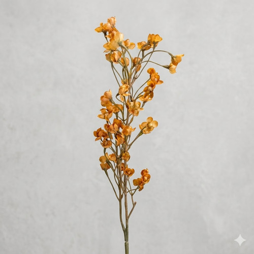 079f978d 427f 4074 8412 1dc5d1041e7f.jpg