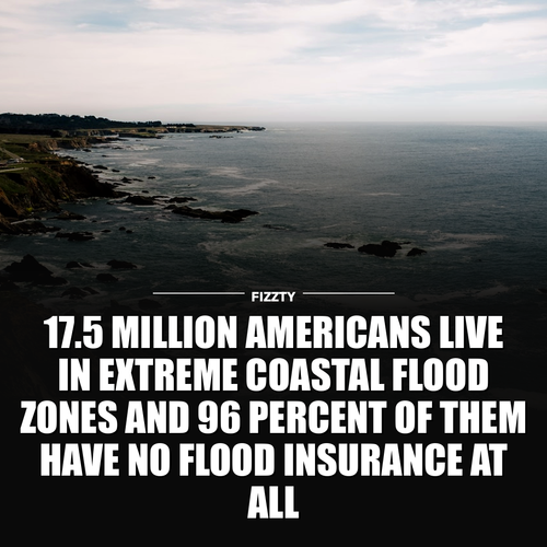 1a0fa04559f9.png