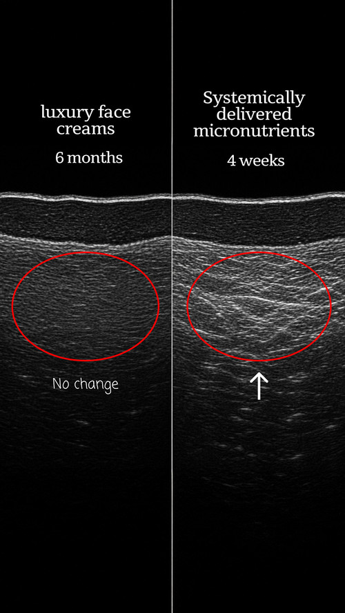 xray v1 9x16 ENG.jpg