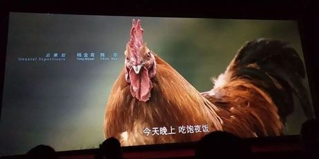 1799 02 十八洞村.jpg