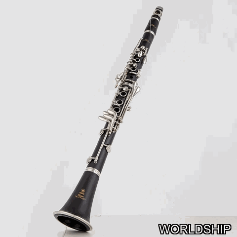 2f199aaee1d1.gif