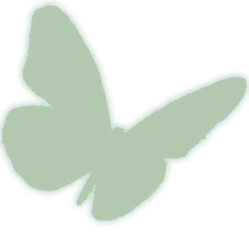 IMG 1155.png