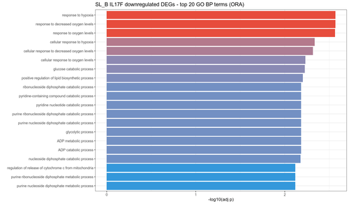 05 SL B IL17F top GO down.png