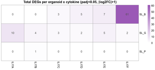 01 DEG count heatmap.png