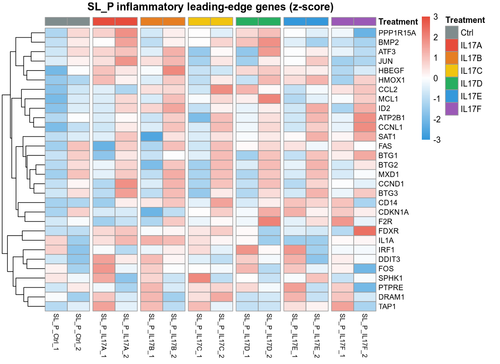09 SL P leading edge heatmap.png
