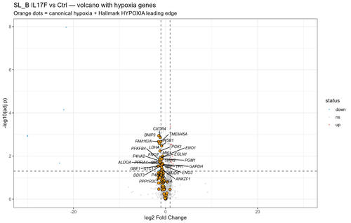 06 SL B IL17F volcano hypoxia.png