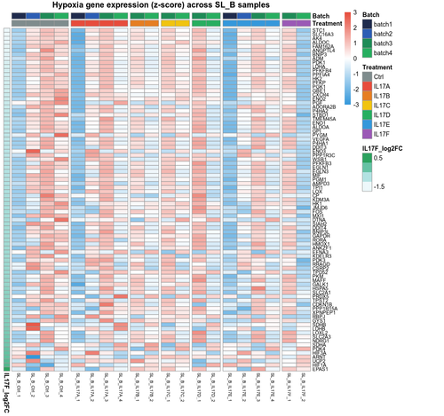 07 SL B hypoxia gene heatmap.png