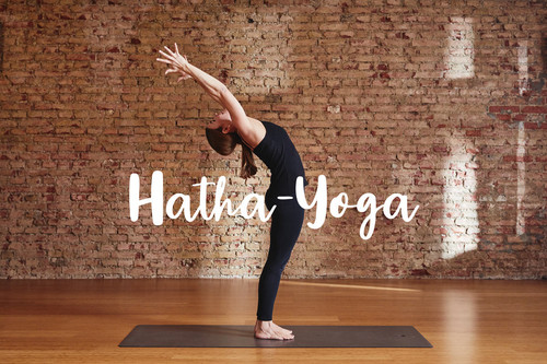 lotuscrafts hatha yoga uebungen b1dec673 fdf3 4e70 a25e 3b21455dc0d4.jpg