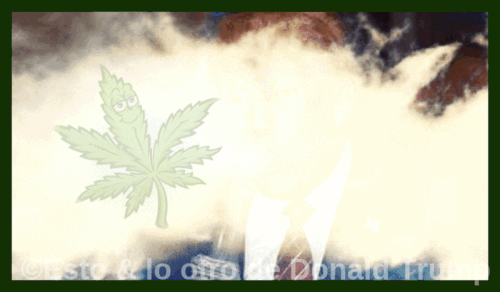 1000029504.gif