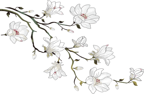 retouch 2026042912593593.png