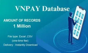 imgi 202 VNPAY database 300x180.webp