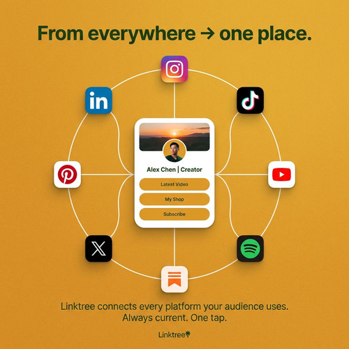 consol 06 from everywhere.jpg