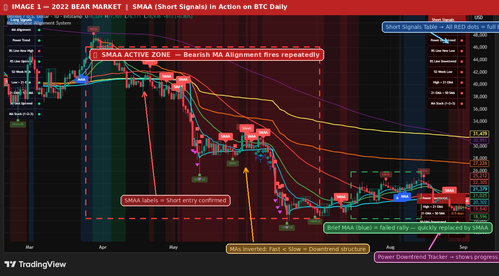 annotated 1 bear2022.png
