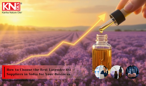 How to Choose the Best Lavender Oil Suppliers in India for Your Business.png
