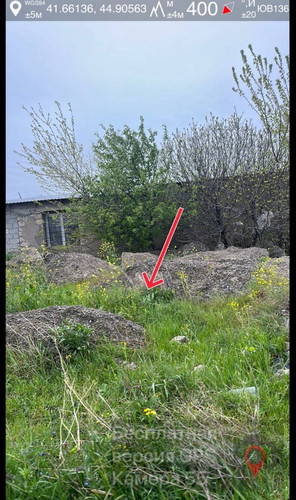 IMG 0788.jpg