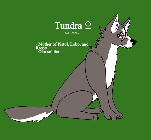 Untitled491 20260401115352.jpg