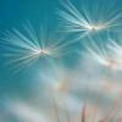 471 01 空山灵雨.jpg