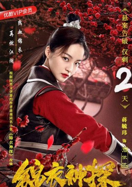 462 01 锦衣神探.jpg