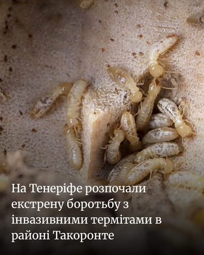 a1c95fa608f0.png