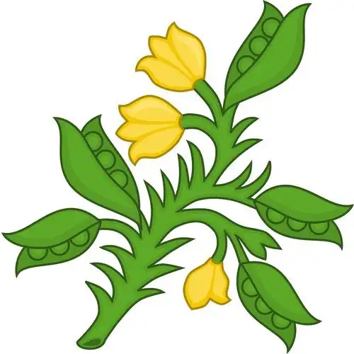 u=1517126371,4189378644&fm=253&fmt=auto&app=138&f=JPEG (1).webp