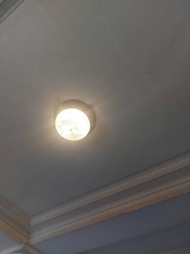 f44ea4a84d98.jpg