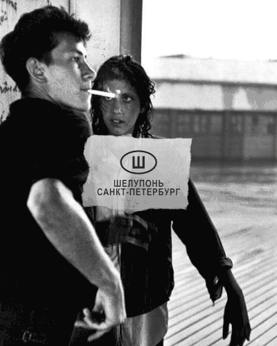 gif1.gif