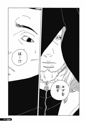 35.webp