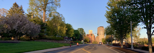 IMG 4341.jpg