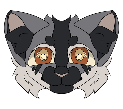 IMG 0677.png