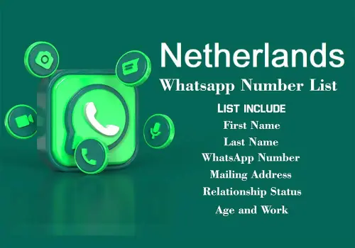 Netherlands WhatsApp Number List.webp