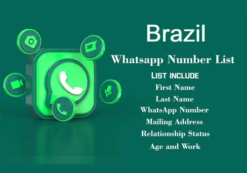 Brazil WhatsApp Number Data.webp