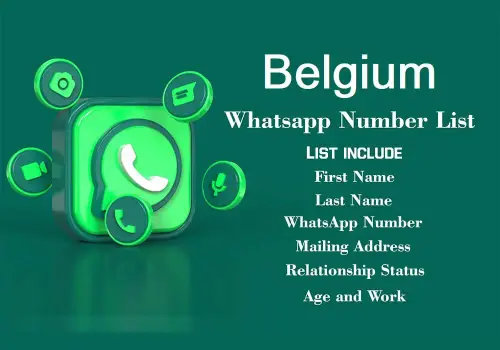 Belgium WhatsApp Number Data.webp