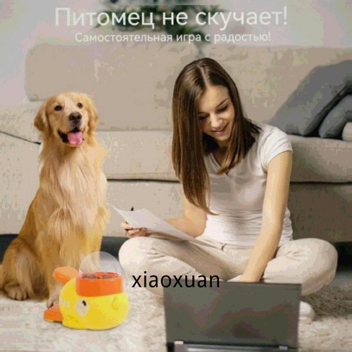1777454021984.jpg